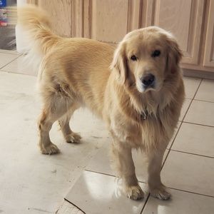 Meet your Posher, Elena